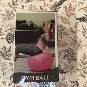 Source Unknown Pink Gym Ball